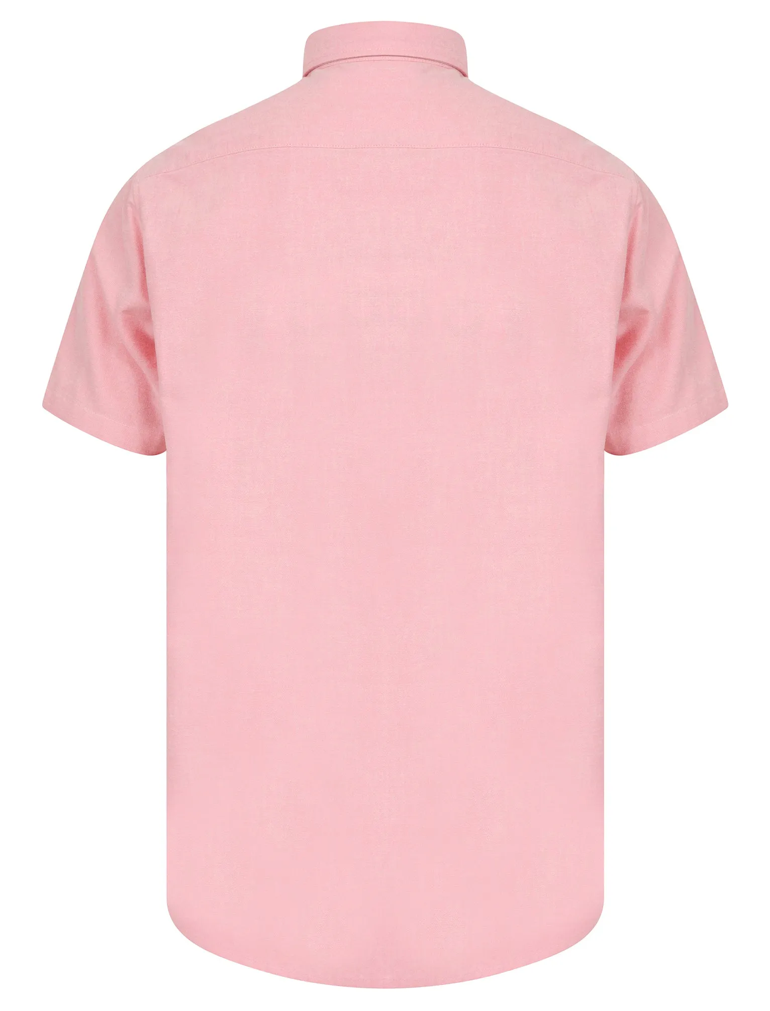 Tiberius Short Sleeve Oxford Cotton Shirt in Pink  - Tokyo Laundry